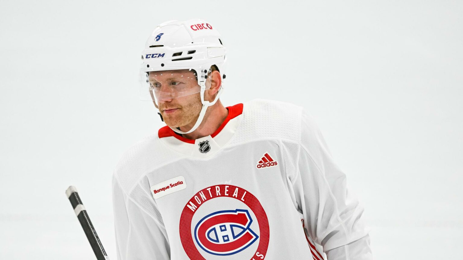 Matheson mis à l’amende, Dach absent La Poche Bleue